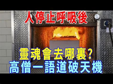 火化過程是否靈魂已跑走|火化時靈魂是否已跑走？科學與宗教的完整解答 